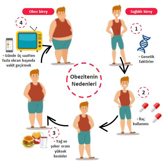 Ortaokul Öğrencilerinin Aşırı Kilo ve Obezite Farkındalık Düzeylerinin Arttırılması